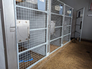 Dog Kennel Room