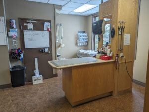 Treatment Room